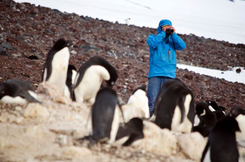 A group of penguins stand in the foreground on a rocky surface. A scientist with a blue coat stands behind them looking through a pair of binoculars